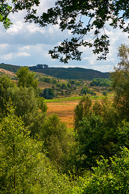 Buy stock photo Nature, countryside and forest trees in spring, natural park and sustainable environment for growth or peacefulness. Landscape, calm and ecology in Denmark with field, harmony valleys and clouds