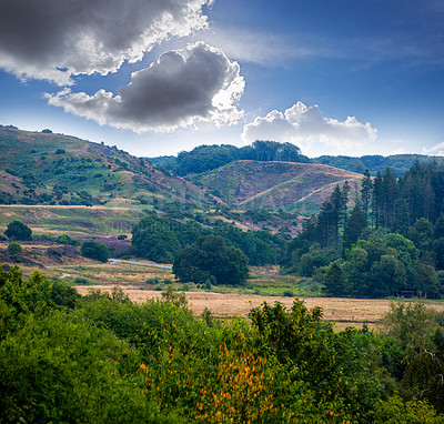 Buy stock photo Nature, countryside and forest valley in spring, natural park and sustainable environment for growth or peacefulness. Landscape, calm and ecology in Denmark with field, trees and sky with clouds
