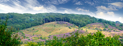 Buy stock photo Natural, countryside and forest valley in spring, nature park and sustainable environment for growth or peacefulness. Landscape, calm and ecology in Denmark with field, harmony and clouds with trees
