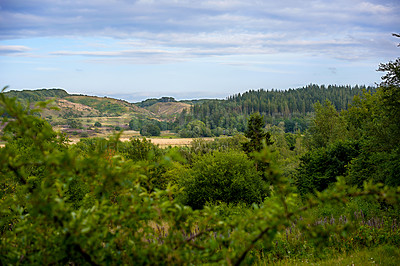 Buy stock photo Forest, trees and landscape or mountains in nature and growth, outdoor and bush or plant. Blue sky, clouds and greenery or environment in countryside with woods or climate and summer in Germany