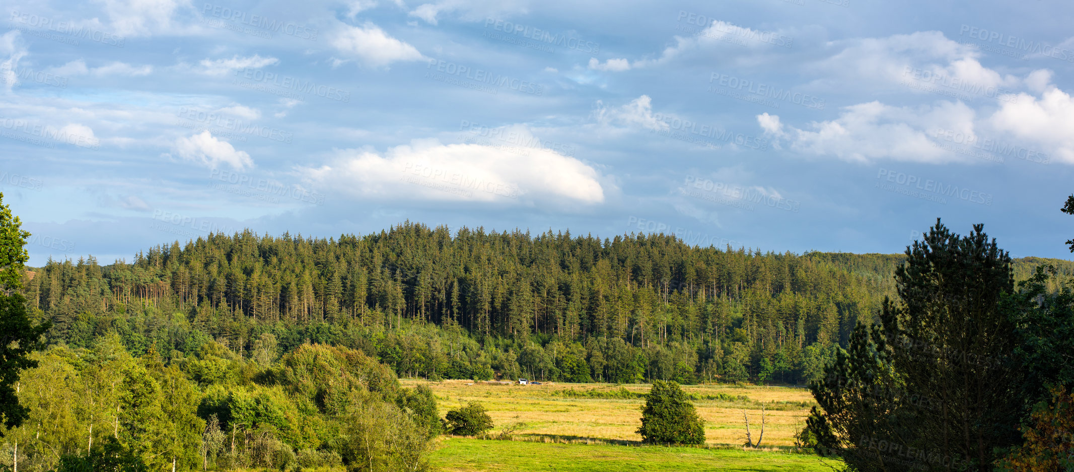 Buy stock photo The beauty of nature - Rebild National Park, Jutland, Denmark,