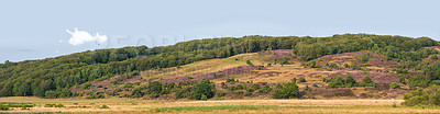 Buy stock photo Sky, landscape and nature of grass, outdoor and environment with plants in earth and peace. Banner, countryside and sustainability for hill, panoramic and green of bush, scenery and summer in Brazil