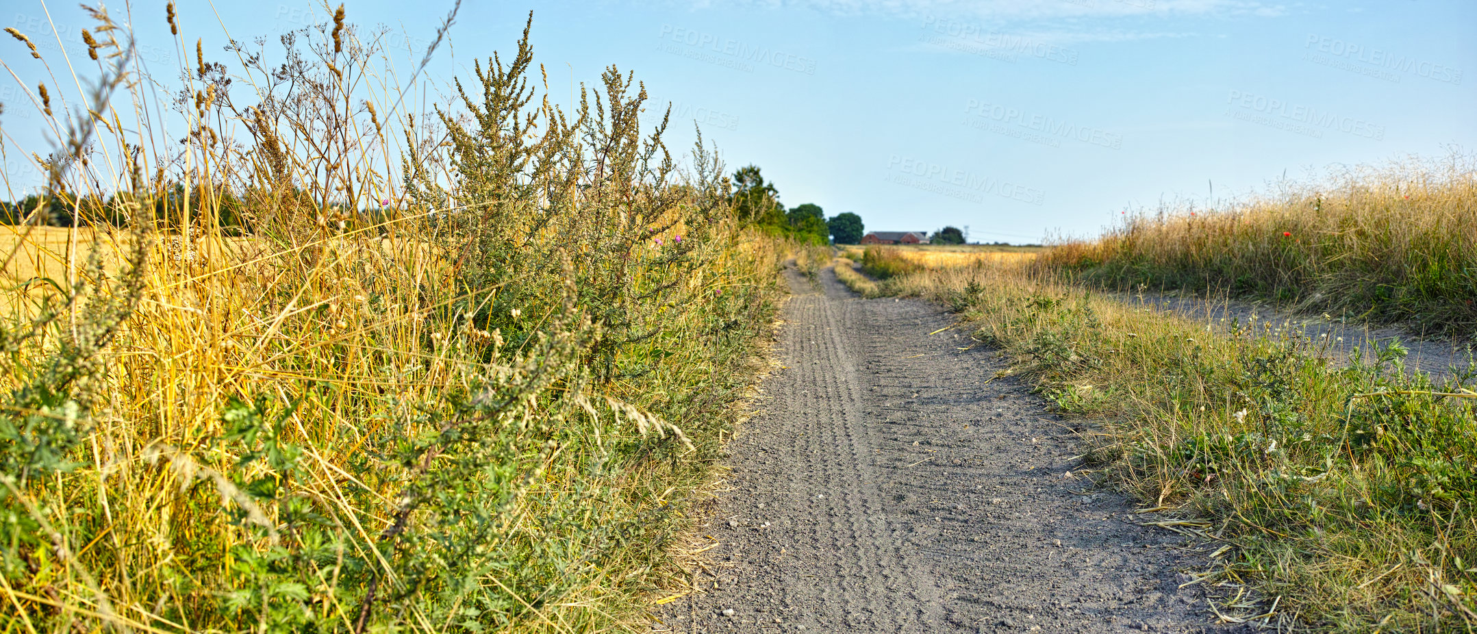 Buy stock photo Countryside, road path and nature with sky background, outdoor and farmland for sustainable eco environment. Organic plant, vegetation and sunlight in spring for growth, agriculture and outside