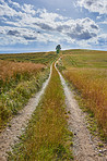 Dirt road in beautiful surroundings