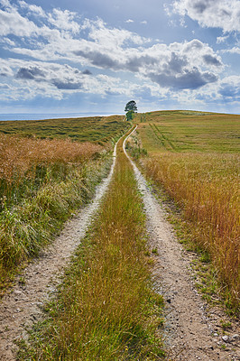 Buy stock photo Rural, sky and dirt road with field in agriculture environment, sustainability or nature landscape. Wheat, clouds and bush plant in countryside for farming, growth development or harvest in Denmark