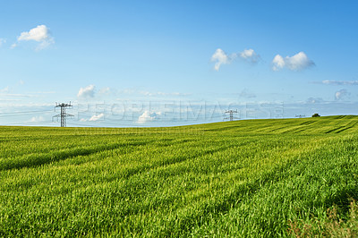 Buy stock photo Environment, blue sky and power line in field for electricity, sustainability or outdoor in nature. Grass, growth and agriculture in countryside and eco friendly development or clean energy in meadow