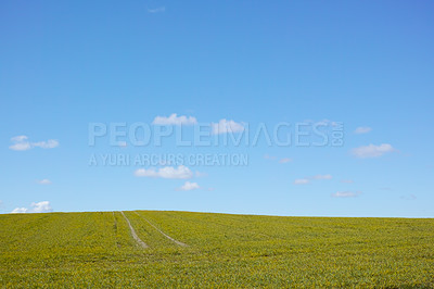 Buy stock photo Farm, land and field with clouds on blue sky, farming environment and grazing or natural pasture for animals. Sustainable, ecology and healthy grass or landscape, spring and outdoor in Switzerland