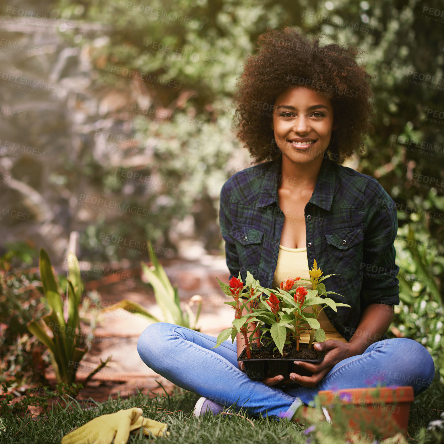 Buy stock photo Black woman with plant in garden, smile in portrait with gardening and flower, botany and young gardener outdoor. Happy female person with growth, environment and plants in nature with landscaping