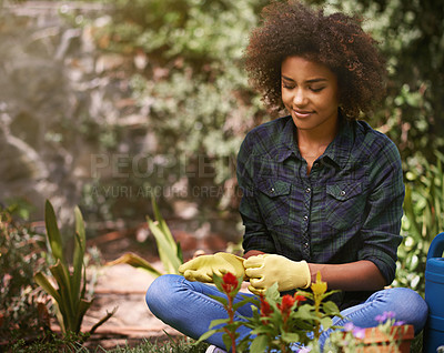 Buy stock photo Woman, gardening and happy with plants, outdoor and gloves for safety from germs, dirt or dust in spring. Girl, person and flowers in ground for growth, development or nature with ecology in backyard