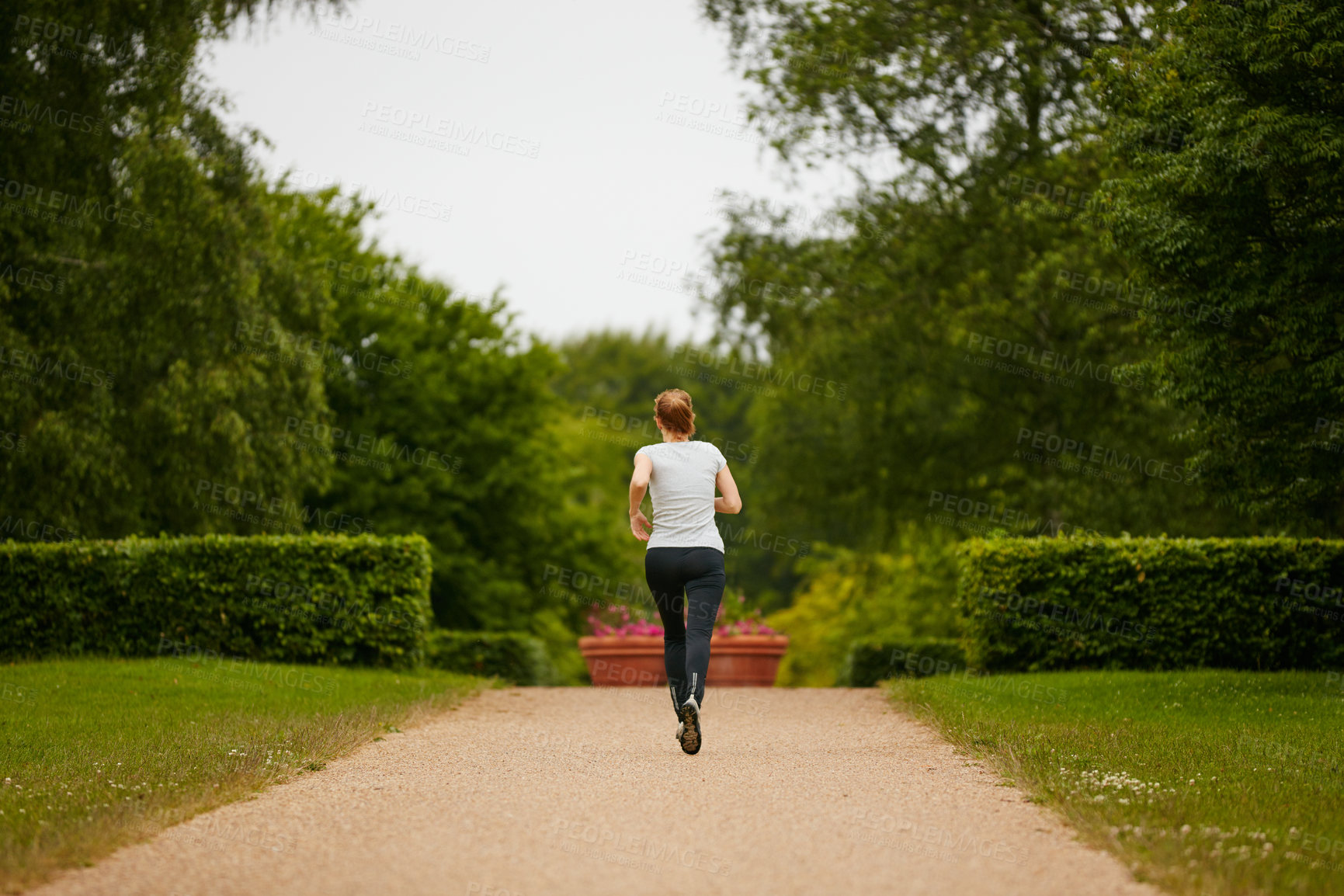 Buy stock photo Shot of a woman jogging down a foothpath in a park