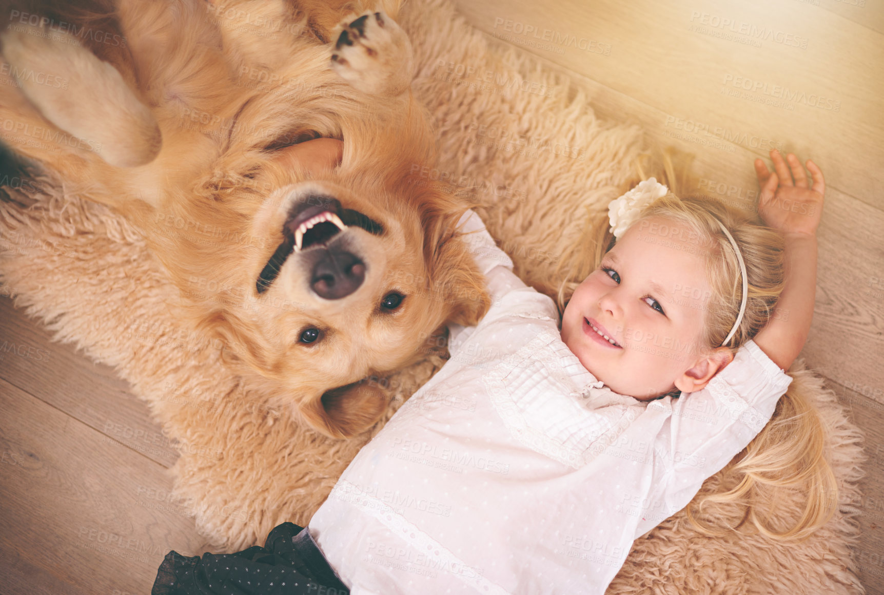 Buy stock photo Girl, dog and portrait together on floor in living room or golden retriever, kid and smiling with pet above lounge carpet. Young child, Labrador and happiness or family home, pets and top view