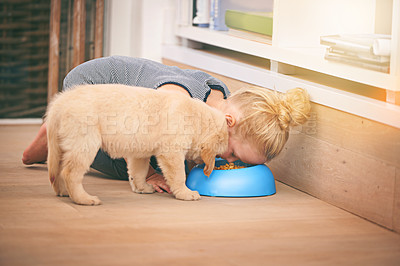 Buy stock photo An adorable little girl sharing a bowl of food with her puppy at home