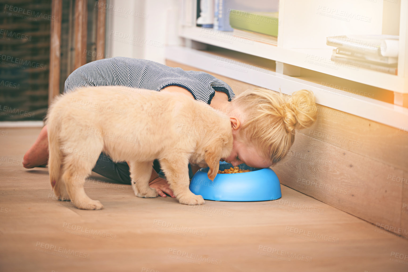 Buy stock photo An adorable little girl sharing a bowl of food with her puppy at home