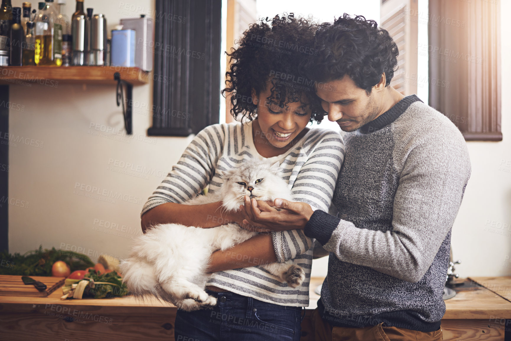 Buy stock photo Love, cat and couple with happiness, bonding and care with quality time, home and loving. Partners, man and woman stroke a pet, animal or romantic in an apartment, happy or cheerful with relationship