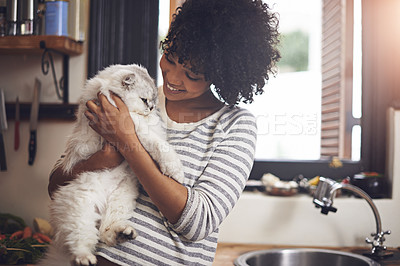 Buy stock photo Shot of a young woman enjoying a cuddle with her cat