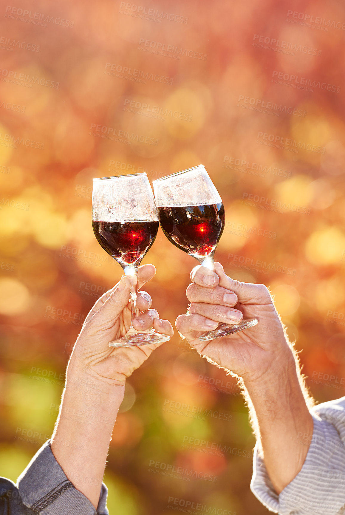Buy stock photo Mature couple, wine and toast in garden for retirement, celebration and vacation in nature for marriage. People, sunshine and cheers to wellness, health and love in countryside for anniversary drink.