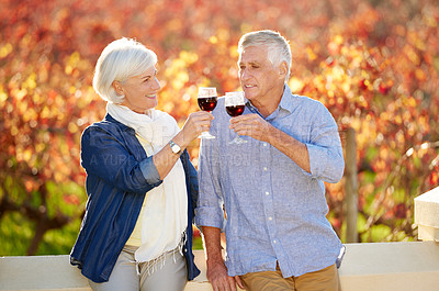 Buy stock photo Senior couple, wine tasting and drink together for memories, relationship and retirement on vineyard. Toasting, man and woman excited on farm visit with alcohol for celebration, date or love