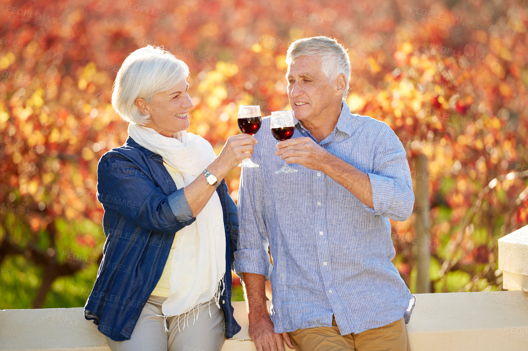 Buy stock photo Senior couple, wine tasting and drink together for memories, relationship and retirement on vineyard. Toasting, man and woman excited on farm visit with alcohol for celebration, date or love