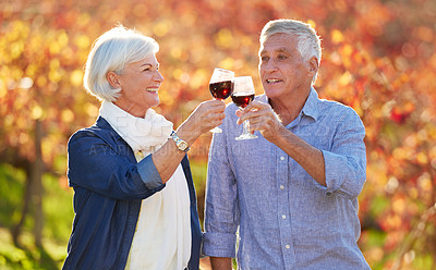 Buy stock photo Happy, senior couple and glasses toasting for wine tasting, sharing drink or memories together on vineyard. Romantic, retired man and excited woman on farm visit for celebration, date or love 