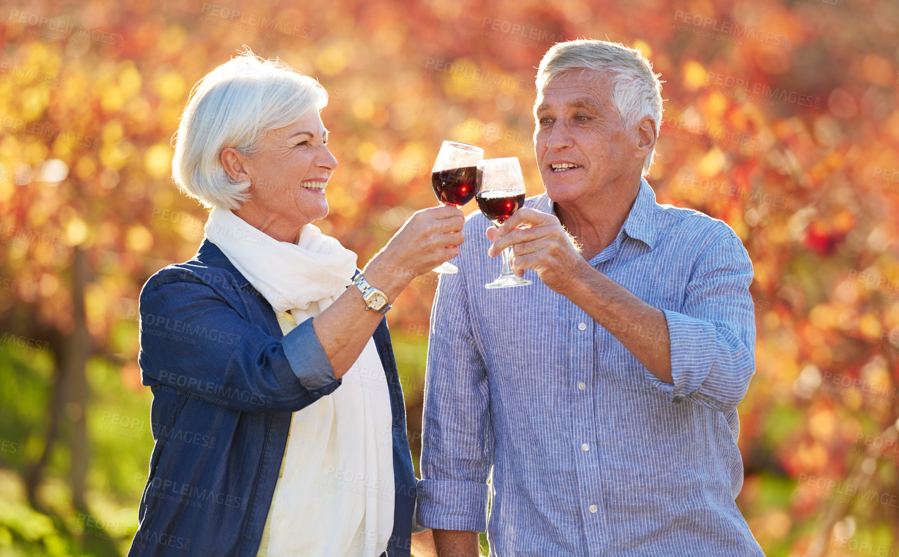 Buy stock photo Happy, senior couple and glasses toasting for wine tasting, sharing drink or memories together on vineyard. Romantic, retired man and excited woman on farm visit for celebration, date or love 
