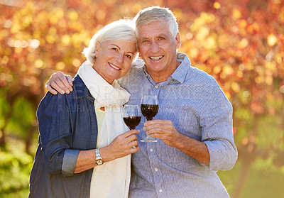 Buy stock photo Cropped portrait of a senior couple enjoying an afternoon of wine tasting