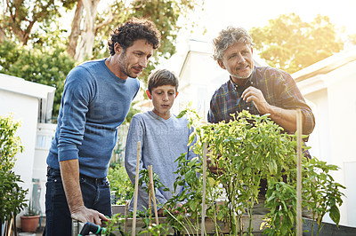 Buy stock photo Men with boy working in garden in backyard with generations, grandfather with father and kid with plants. Sustainability, love and nature with family outdoor with green leaves and gardening at home