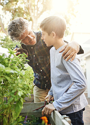 Buy stock photo Gardening, plants and grandfather teaching boy on greenery growth, development and environment. Agro, eco friendly and child or kid learning horticulture with senior man outdoor in backyard for hobby