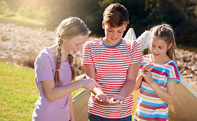 Buy stock photo Shot of children looking at a frog they discovered in nature