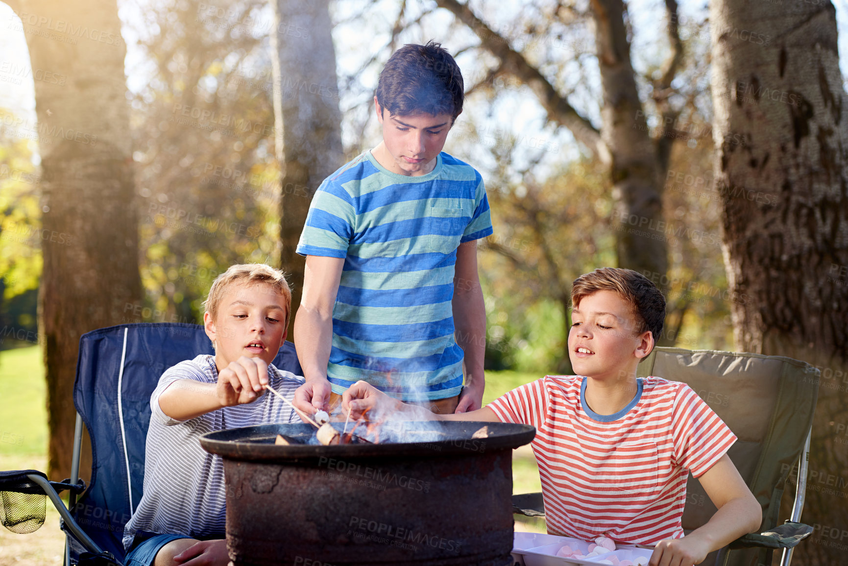 Buy stock photo Cropped shot of young boys roasting marshmallows over a campfire