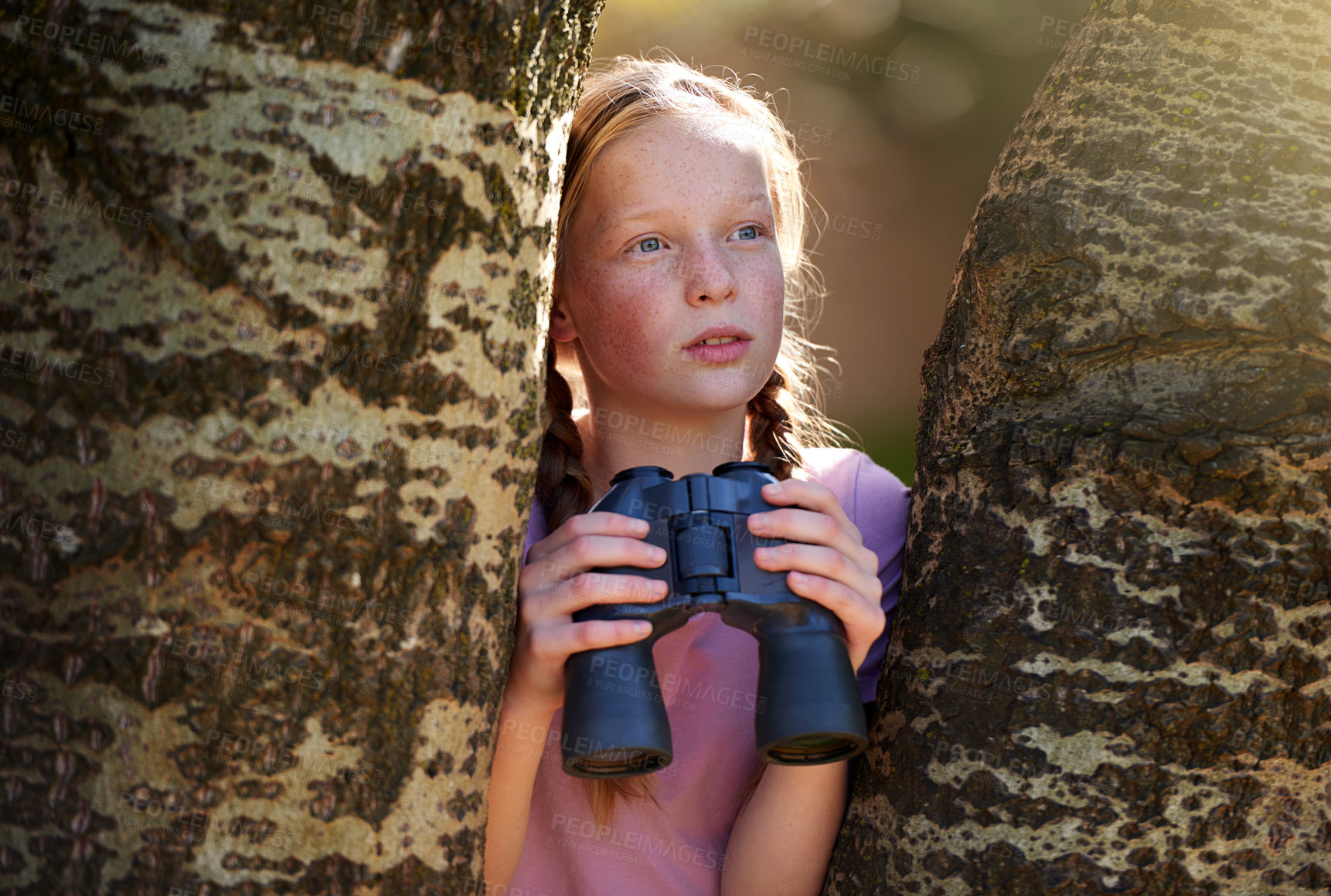 Buy stock photo Tree, girl and binoculars for safari, search and looking for animals on travel holiday. Curious, explore and seek for bird watching or wildlife in nature, young child and scenery or view in Kenya