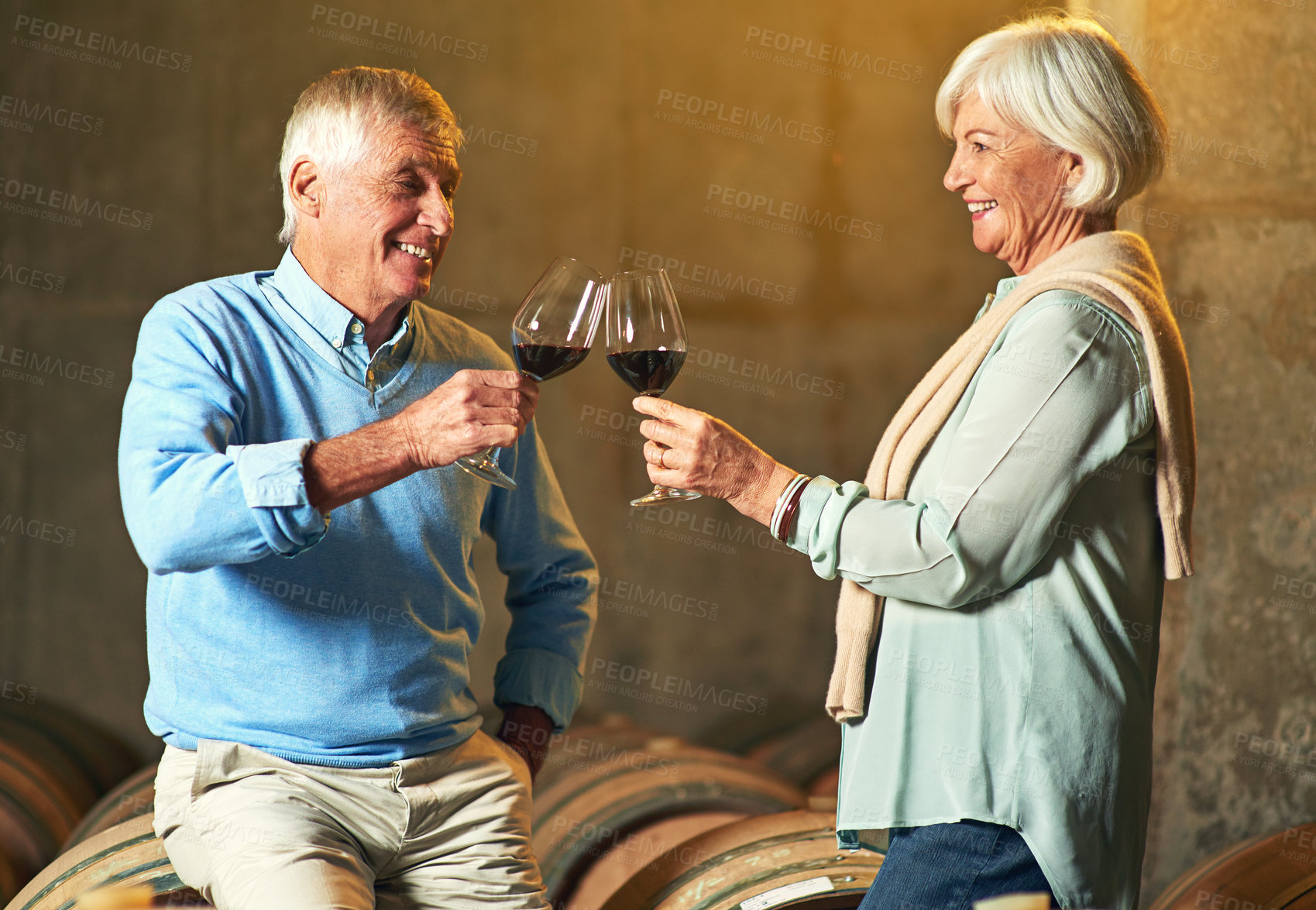 Buy stock photo Cropped shot of a senior couple enjoying a little wine tasting