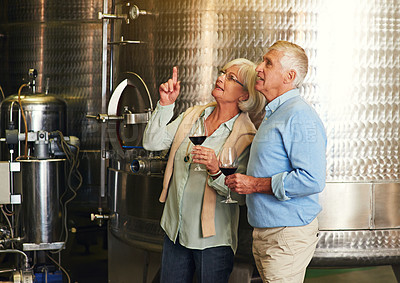 Buy stock photo Cropped shot of a senior couple enjoying a little wine tasting