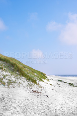 Buy stock photo Landscape of sand dunes on the west coast of Jutland in Loekken, Denmark. Closeup of tufts of grass growing on an empty beach with blue sky and copyspace. Scenic view to enjoy during travel in summer