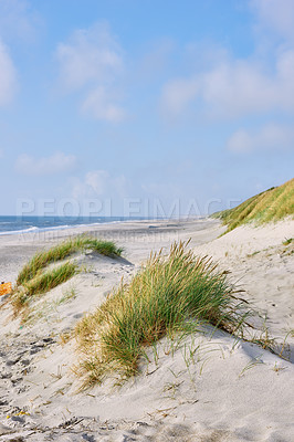 Buy stock photo Landscape of beach sand dunes on an empty west coast of Jutland in Loekken, Denmark. Tufts of green grass growing on a seascape during a summer day. Ocean and sea view with a blue sky and copyspace