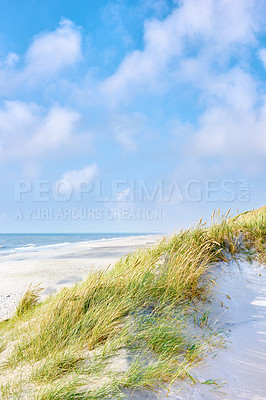 Buy stock photo Landscape of beach and sand with copyspace on the west coast of Jutland in Loekken, Denmark. Closeup of tufts of green grass growing on a scenic empty ocean shore with clouds on a blue sky background