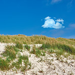 Sand dunes at the Westcoast of Jutland, Denmark