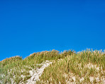 Sand dunes at the Westcoast of Jutland, Denmark