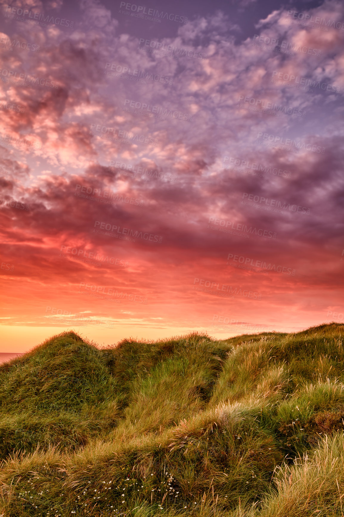 Buy stock photo Copyspace landscape of sunset on coast of Jutland in Loekken, Denmark. Sun setting on empty beach at dusk over hills and meadows. Dramatic sunrise in morning with copy space. Pink sky on coastline