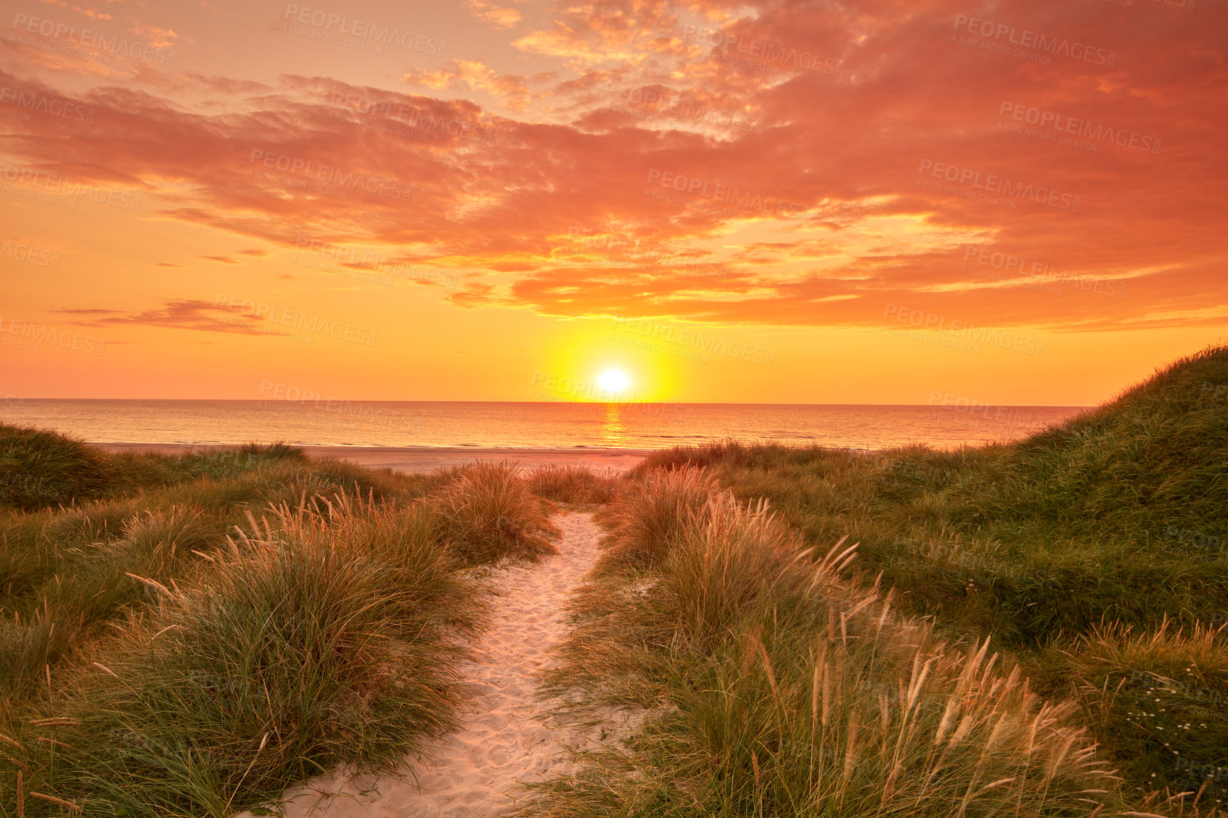 Buy stock photo Copyspace of a golden sunset on the west coast of Jutland in Loekken, Denmark. Sun setting on an empty beach at dusk over ocean and sea at night with copyspace. Sunrise at the seaside in the morning