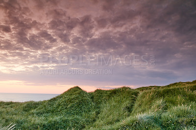 Buy stock photo Sunset over a landscape with clouds, copy space and lush green grass growing on empty beach sand dunes on the coast of Jutland in Loekken, Denmark. Cloudy pink dusk sky in the evening with copyspace