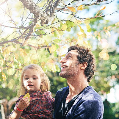 Buy stock photo Father, daughter and smile in garden in autumn with trees, leaves and curious for ecosystem and environment. Family, man and girl child with happiness in backyard of home for bonding, nature or relax