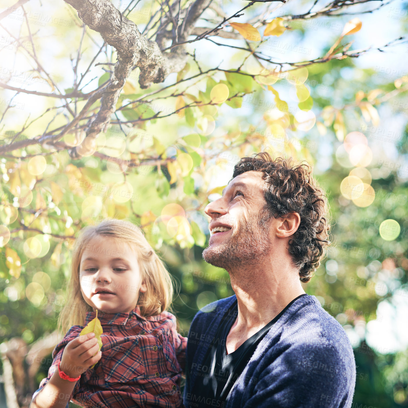 Buy stock photo Father, daughter and smile in garden in autumn with trees, leaves and curious for ecosystem and environment. Family, man and girl child with happiness in backyard of home for bonding, nature or relax