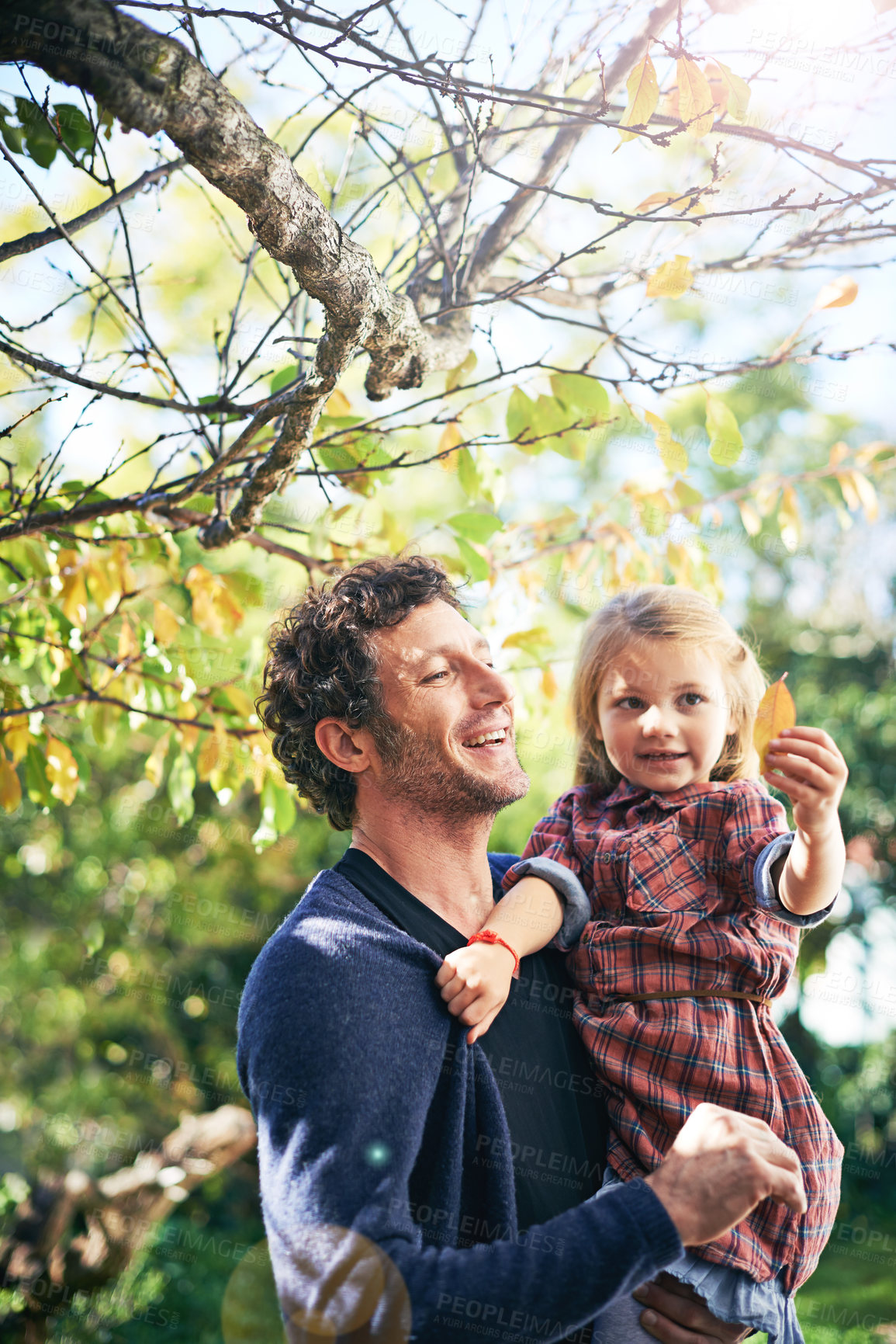Buy stock photo Father, daughter and happiness in garden in autumn with trees, leaves and curious for ecosystem and environment. Family, man and girl child with smile in backyard of home for bonding, nature or relax