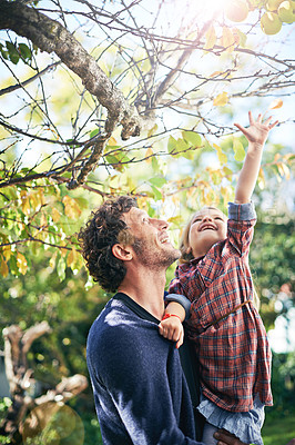Buy stock photo Backyard, girl and father bonding in fall nature, trees and garden in autumn or child, reaching leaf and branch. Young parent, little kid and happy together in green, outdoor and natural environment