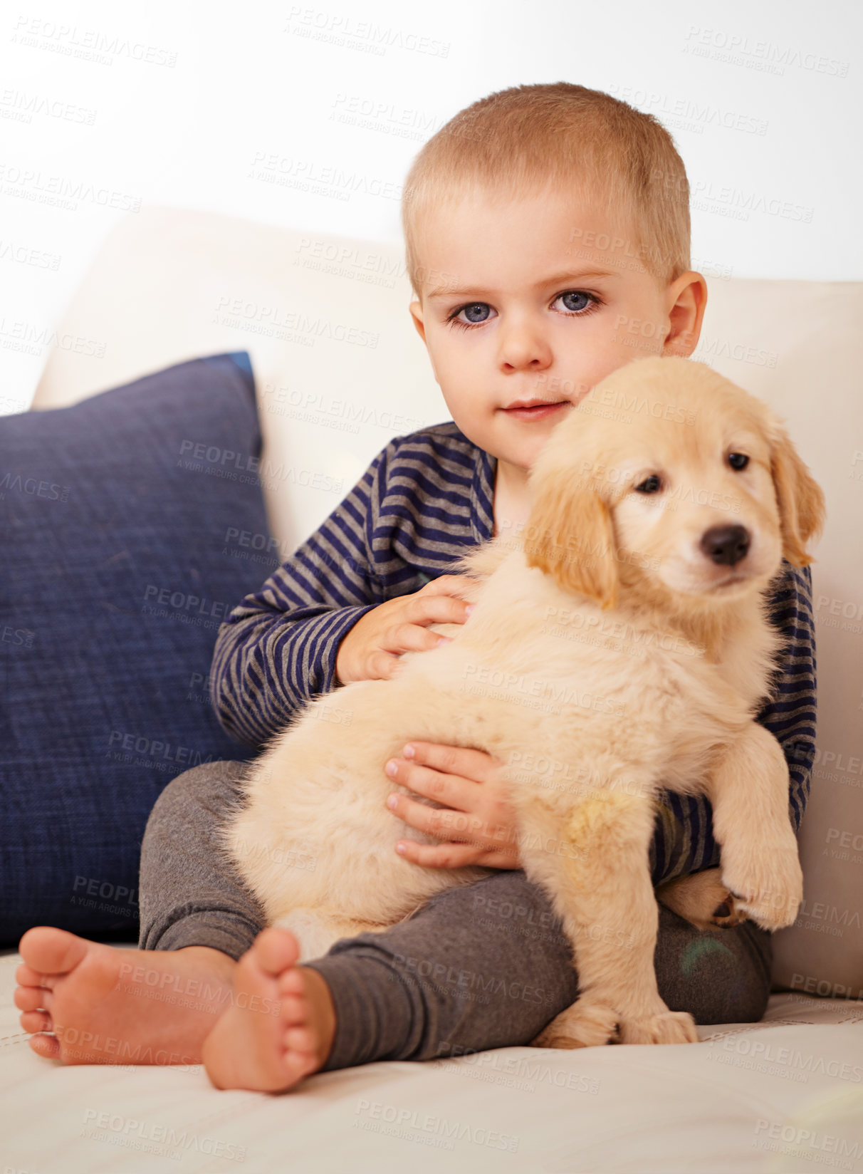 Buy stock photo Portrait, golden retriever or a dog and happy child together for love, care and development. Face of a cute kid and animal, puppy or pet playing as friends on the home sofa or living room to relax