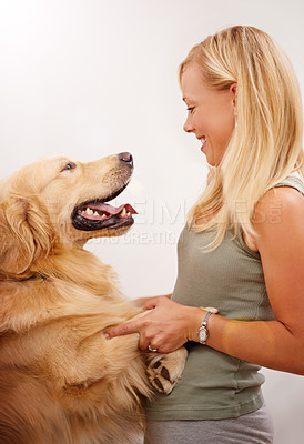 Buy stock photo Woman, playing and labrador dog in studio as love for pets, puppy and animal with happiness as childhood friend. Happy, person and bonding with companion by teaching, learning and tricks growth