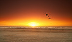 Sunset at the beach - the westcoast of Jutland, Denmark