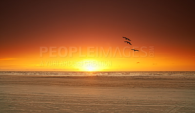 Buy stock photo Seascape of a beautiful golden sunset on the west coast of Jutland in Loekken, Denmark. Sun setting on the horizon on an empty beach at dusk and over the ocean and sea in the evening with copyspace