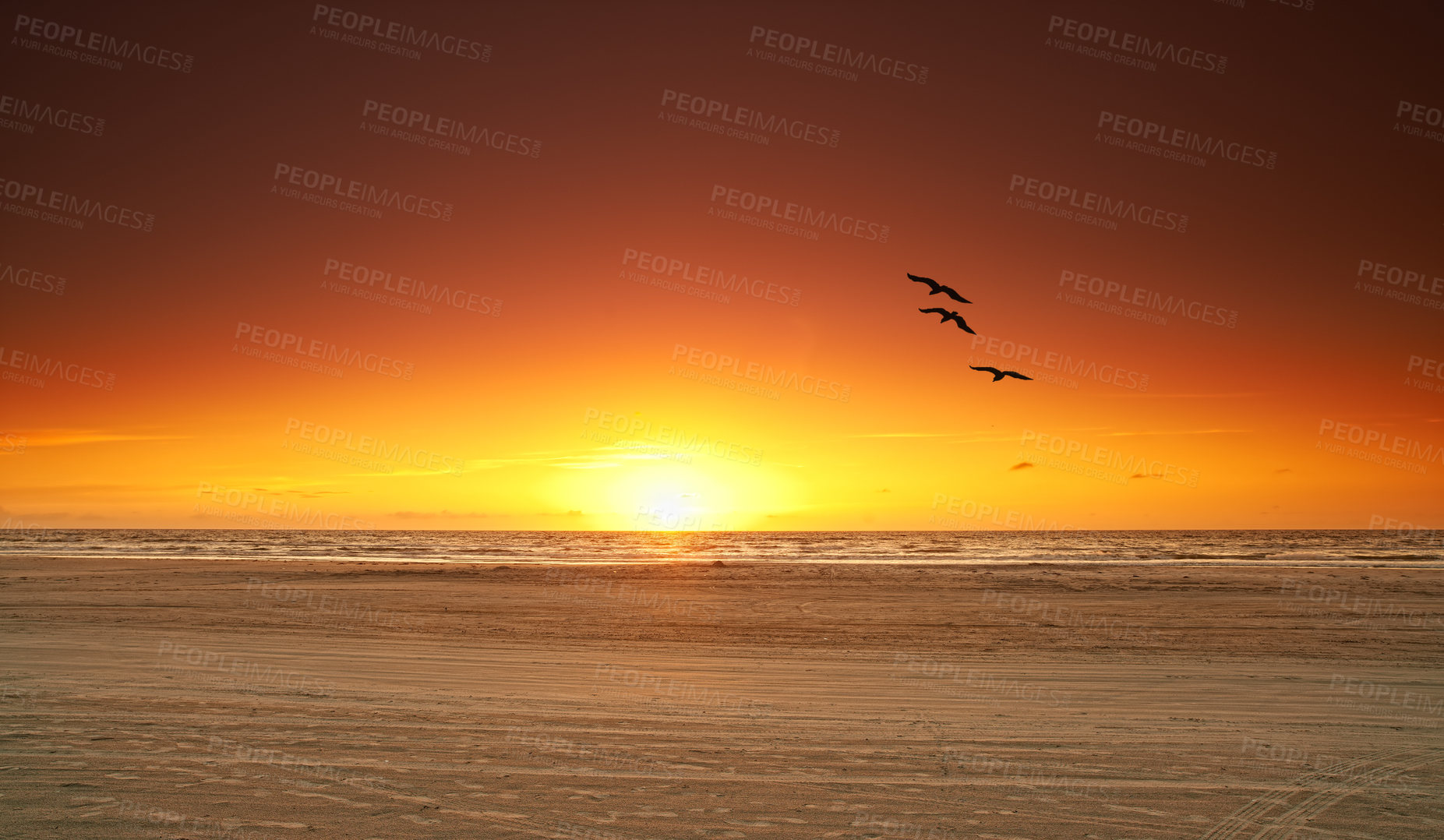 Buy stock photo Seascape of a beautiful golden sunset on the west coast of Jutland in Loekken, Denmark. Sun setting on the horizon on an empty beach at dusk and over the ocean and sea in the evening with copyspace