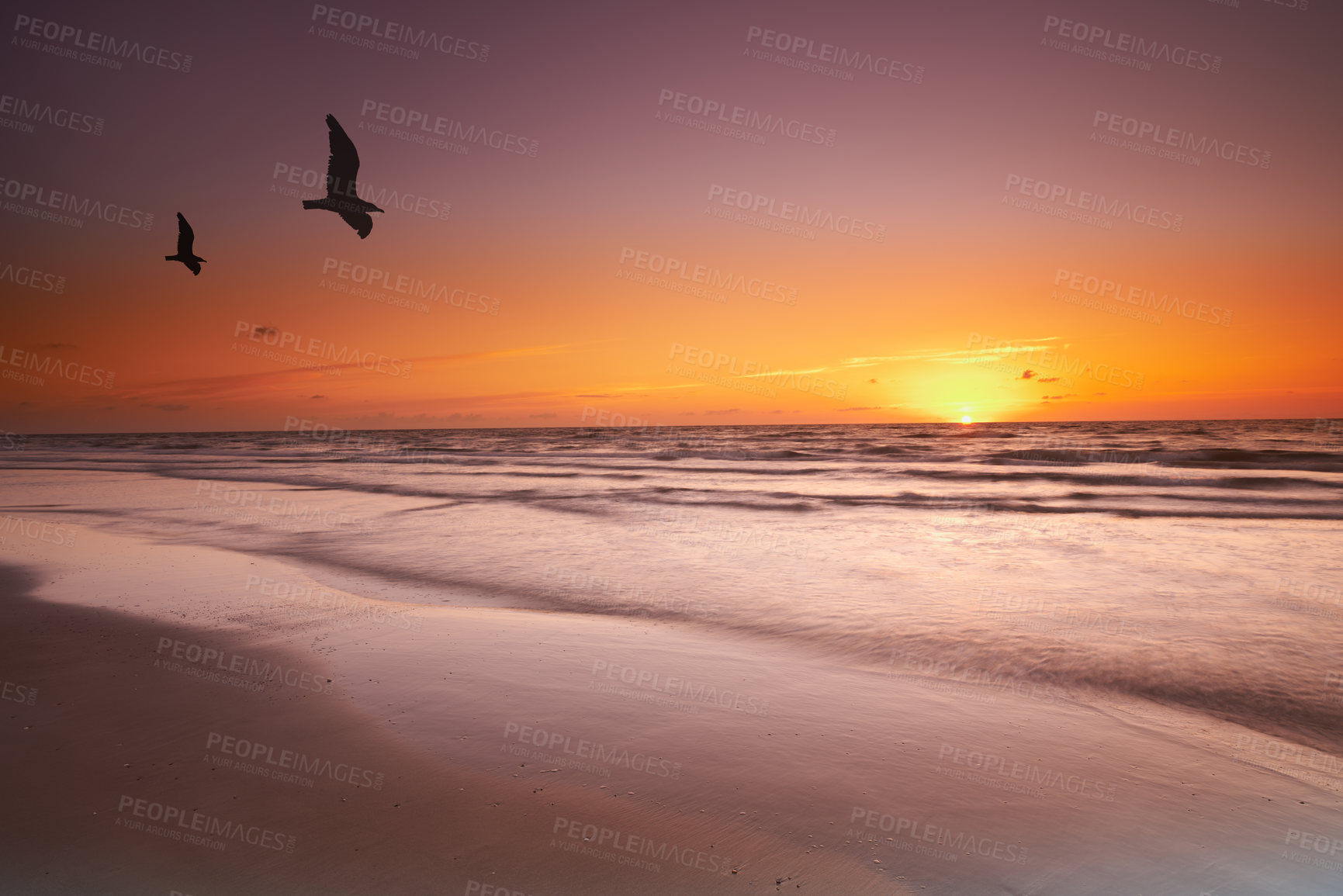 Buy stock photo Seascape and landscape of a golden sunset on the west coast of Jutland in Loekken, Denmark. Beautiful cloudscape on an empty beach at dusk. Birds flying over the ocean in the evening with copyspace 